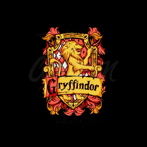 Lions Crest Wizarding School T-Shirt